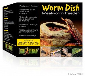 worm dish