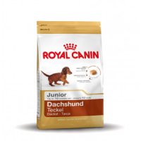 Royal Canin Dachshund 30 junior Hondenvoer 1.5 kg