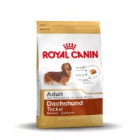 Royal Canin Dachshund 28 adult Hondenvoer 1.5 kg