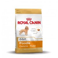 Royal Canin Poodle 30 adult Hondenvoer 7.5 kg