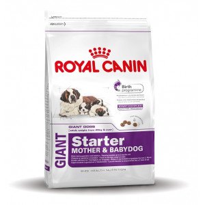 Royal Canin Giant Starter Mother and Babydog Hondenvoer 15 kg