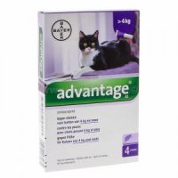 Advantage Nr. 80, Vlooienmiddel voor katten 3 stuks