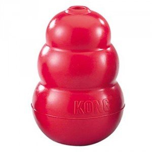 Kong Maat M voor de hond Rood