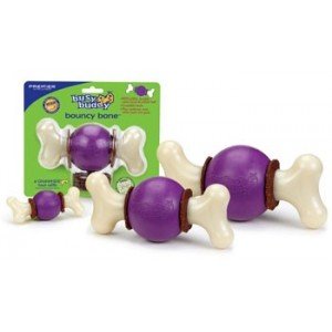 Busy Buddy Bouncy Bone voor de hond Small