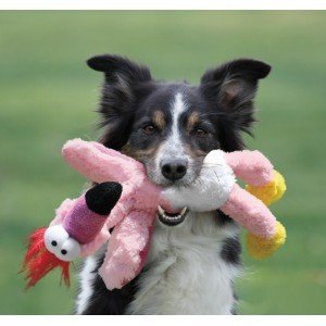 Kong Wild Knots voor de hond Small/medium