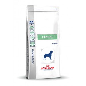 Royal Canin Dental dieet Hondenvoer 6 kg