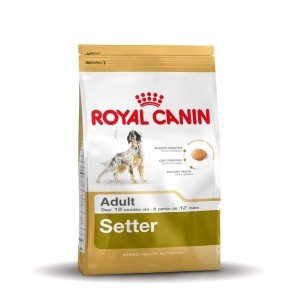 Royal Canin Ierse Setter 12 kg