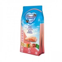 Renske Super Premium Adult Graanvrij Verse Zalm hondenvoer 2 kg