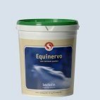 Sectolin Equivital Nervo