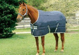 Horseware Amigo Insulator Heavy