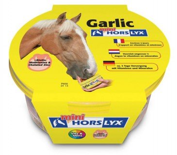 Horslyx Garlic Mini