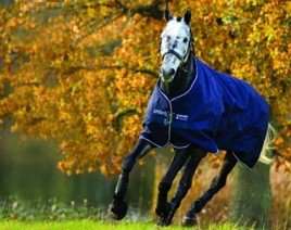 Horseware Amigo Bravo 12 Medium