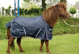 Harry & Hector Pony Outdoordeken 0 grs fleece gevoerd