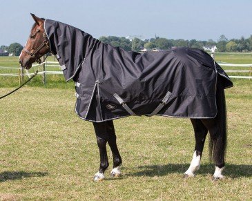 Harry's Horse Regendeken Thor met hals