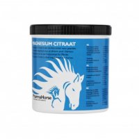 Pharma Horse Magnesium 500