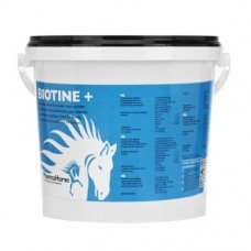 Pharma Horse Biotine 1000