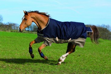 Horseware Mio Turnout Lite regendeken