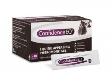 Confidence EQ - 10 sachtets