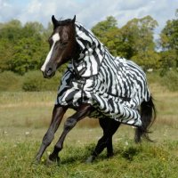 Bucas Sweet-itch Zebra deken