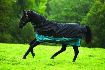 Horseware Mio All-in-one Medium 200