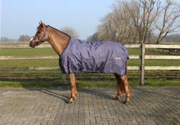 QHP Winterdeken Turnout Technical Jeans 300