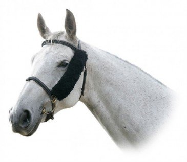 LeMieux Pro Lambs Noseband Cover