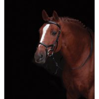 Rambo Micklem Competition Bridle - Bruin