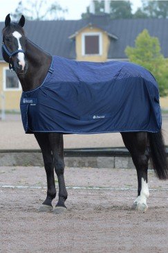 Bucas Recuptex Therapy Rug