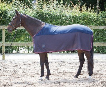 Harry's Horse Coolerdeken S17