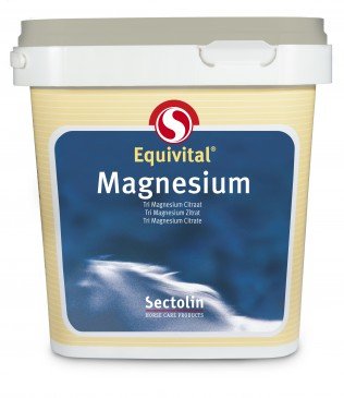 Equivital Magnesium 1kg