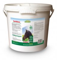 Ecostyle OerBalans 4kg