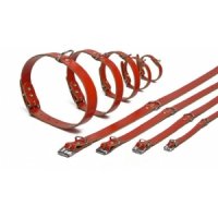 Lederen honden halsband rood - 27 cm x 10 mm