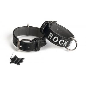 Leren honden halsband rockstar - 40 cm x 35 mm