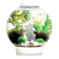 BiOrb Classic aquarium 15 liter LED wit