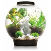 BiOrb Classic aquarium 30 liter LED Tropical zwart