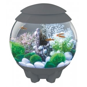 BiOrb Halo aquarium 30 liter LED maanlicht grijs