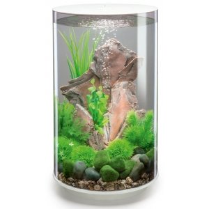 BiOrb Tube aquarium 30 liter LED wit