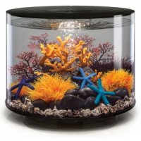 BiOrb Tube aquarium 35 liter MCR zwart