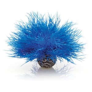 BiOrb zeelelie blauw aquarium decoratie