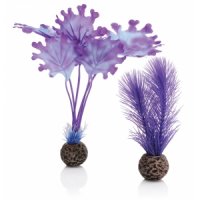 BiOrb zeewier set klein paars aquarium decoratie