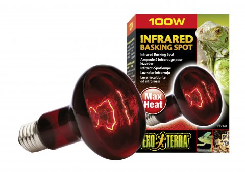 Exo Terra Infrared Basking Spot 100 Watt R25